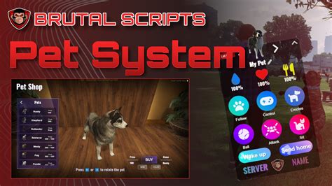 a free companion <b>script</b> for <b>QBCore</b>, pets are stored as items inside your inventory, and after they are out, there is a menu to control them. . Pet script qbcore